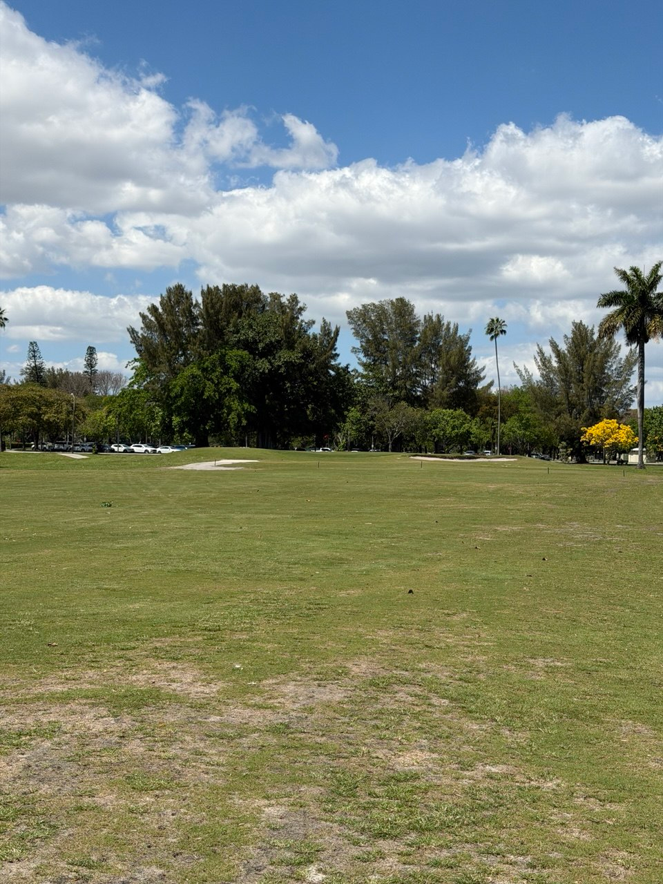 ms 07 wide fairway bunkers yellow tree