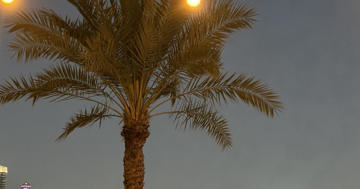 Day 5. The Montgomerie Dubai: A Celebration Round After the Pro-Am