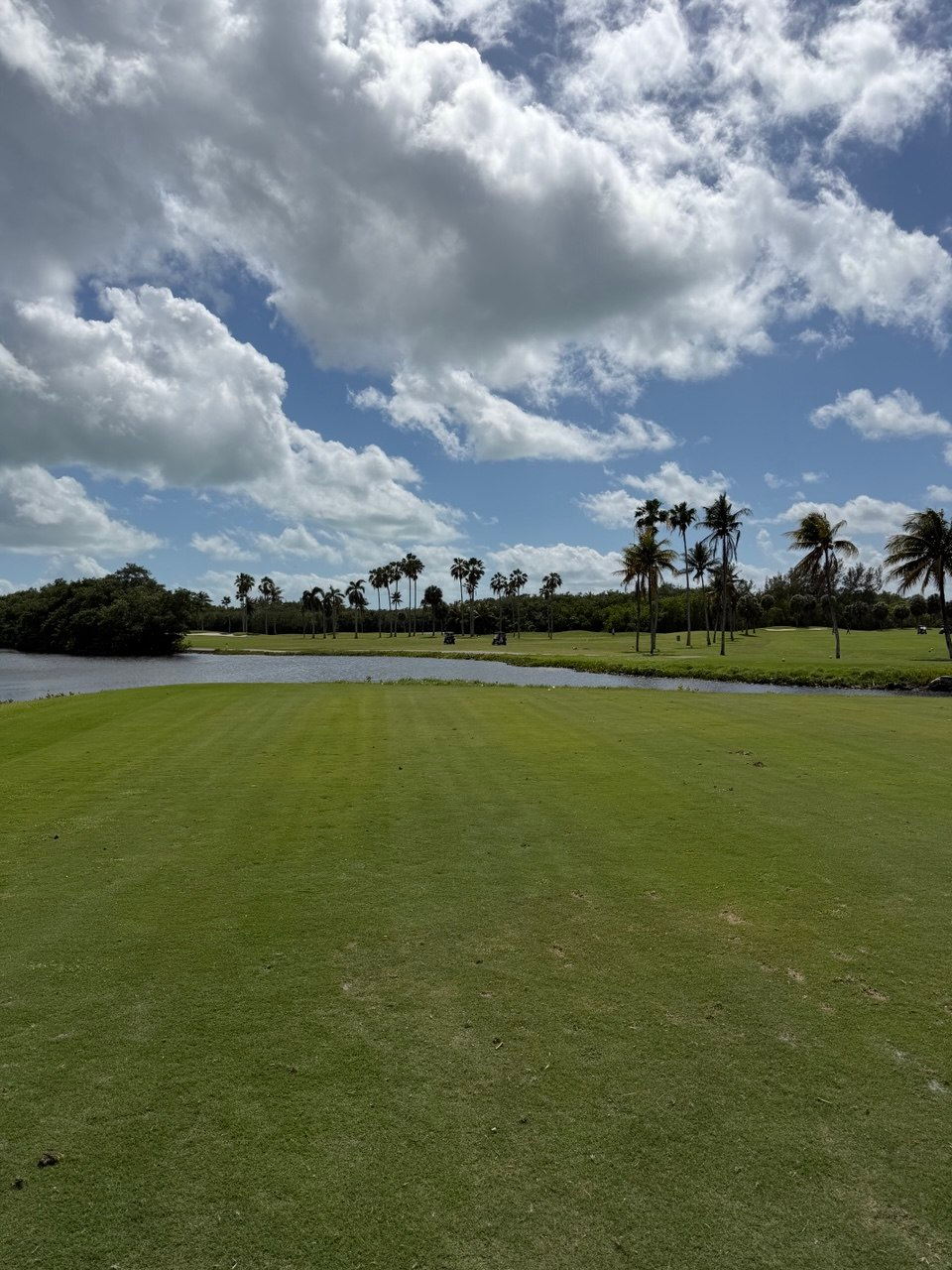 Crandon Golf fairway