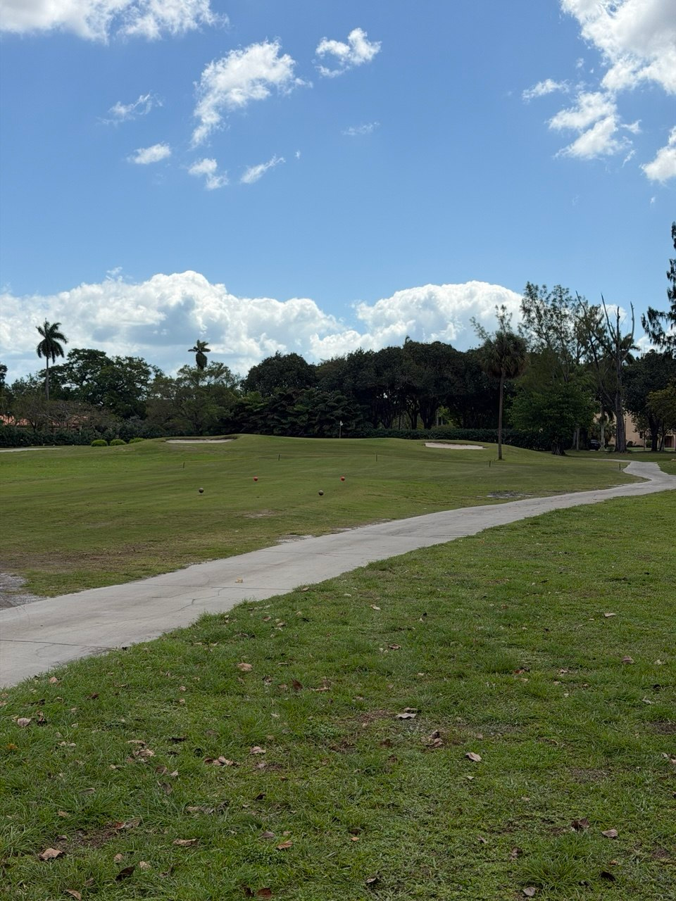 ms 03 tee box elevated green palms