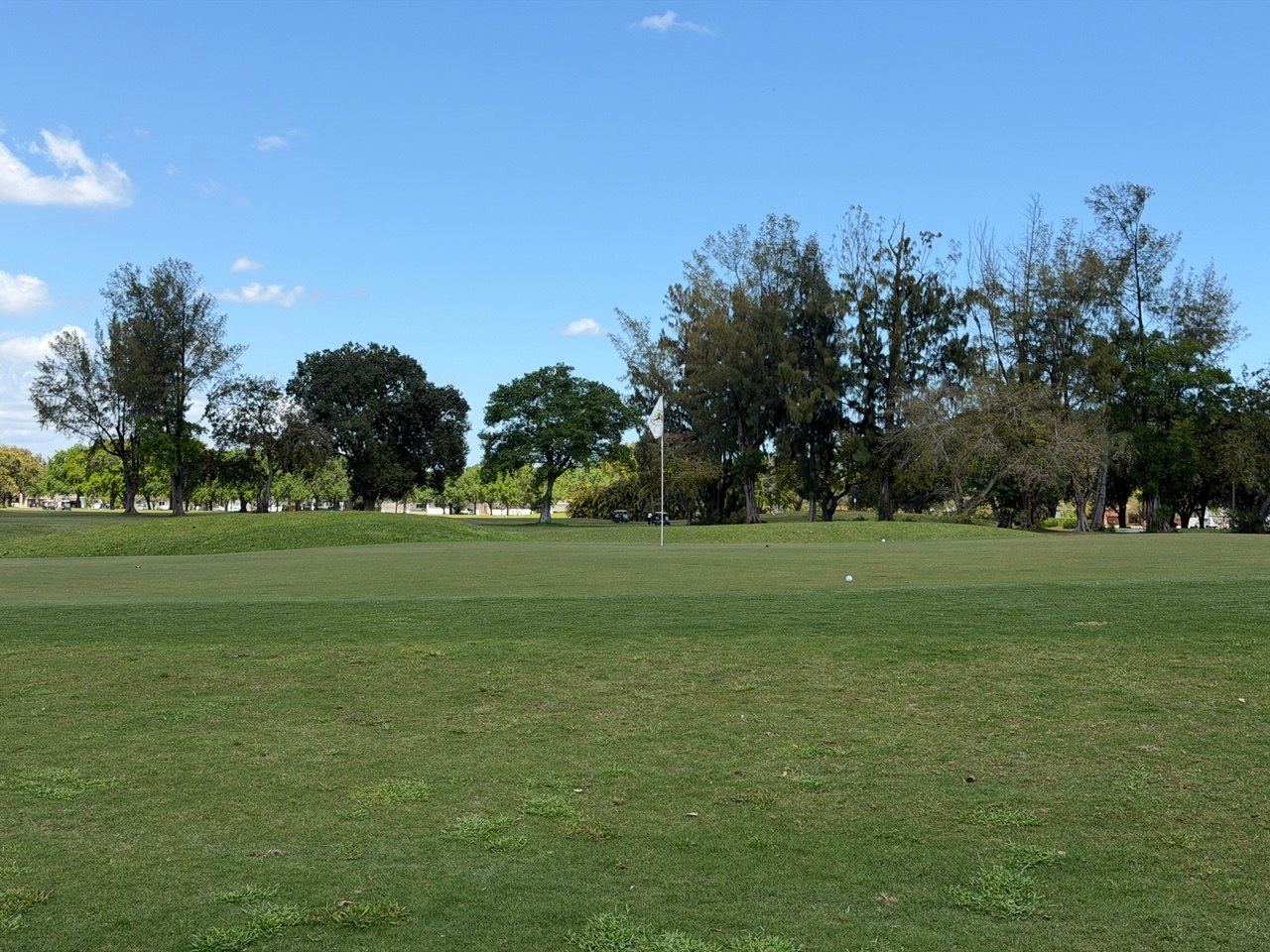 ms 06 green ball pin close