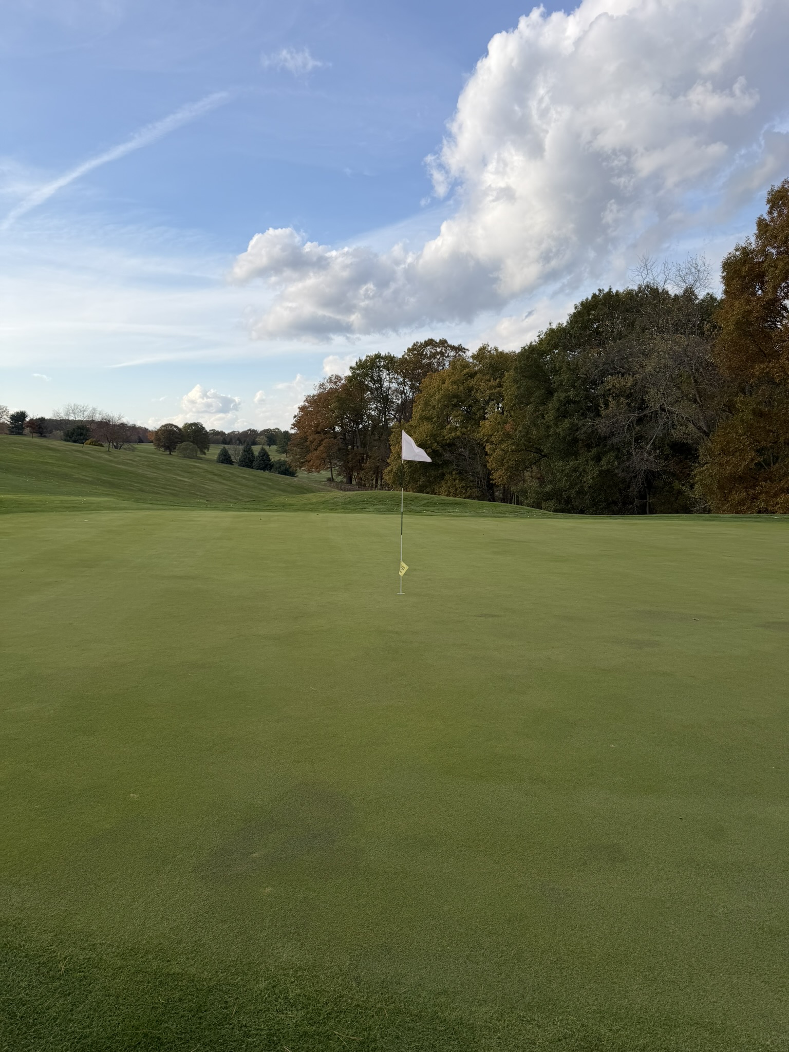 A green and flagstick at North Park Golf Course with a wooded treeline behind