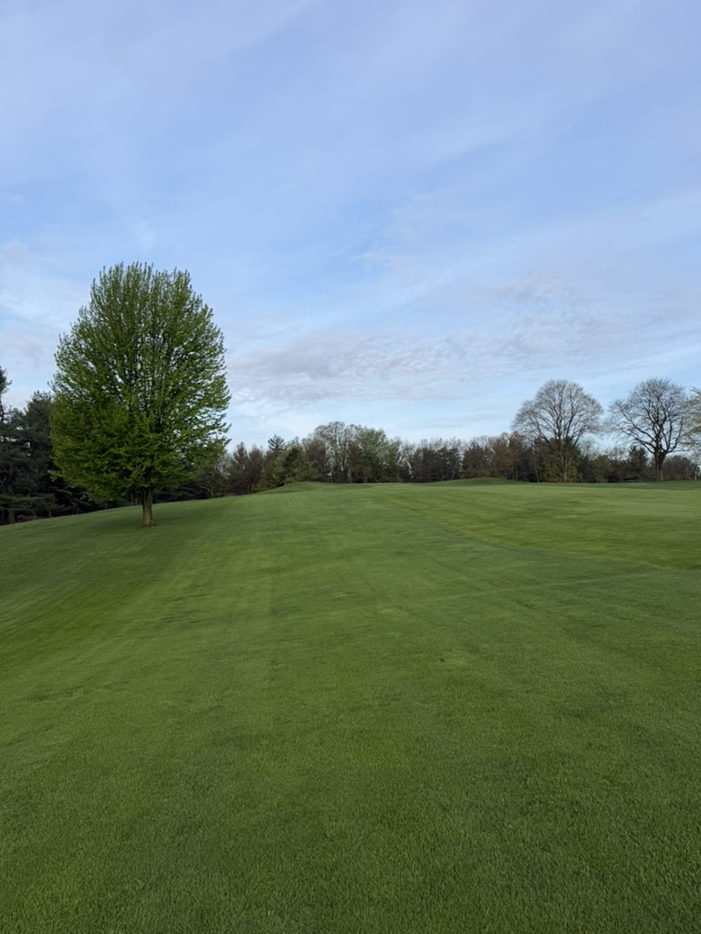 An open, empty fairway at North Park Golf Course with a lone tree on the left under a wide late-spring sky